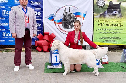 Национальная выставка собак всех пород _1