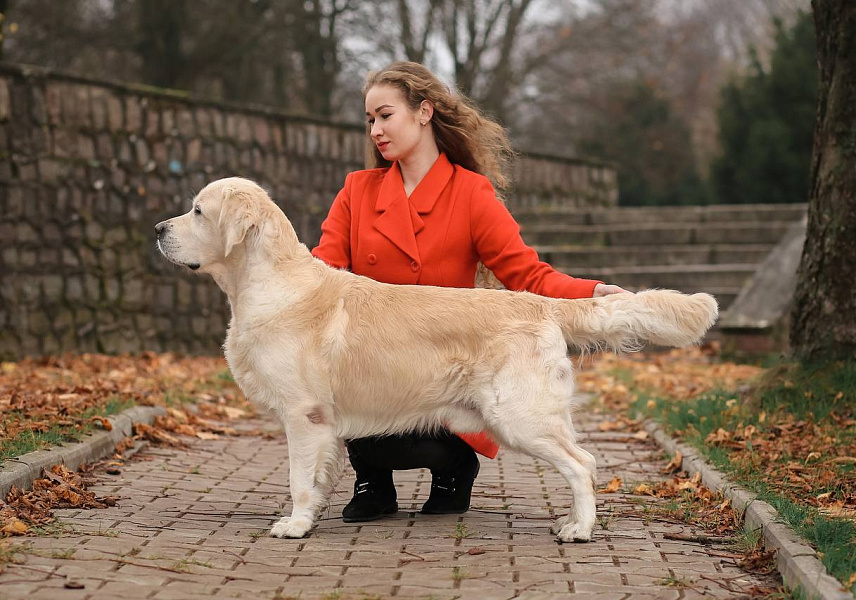 Фото Кевин стойка