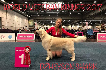 Чемпионат Мира 2017 Лейпциг Германия WORLD DOG SHOW 2017 Leipzig_0