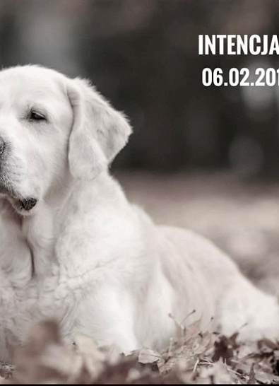 Кевин 06.02.2011 - 24.05.2023