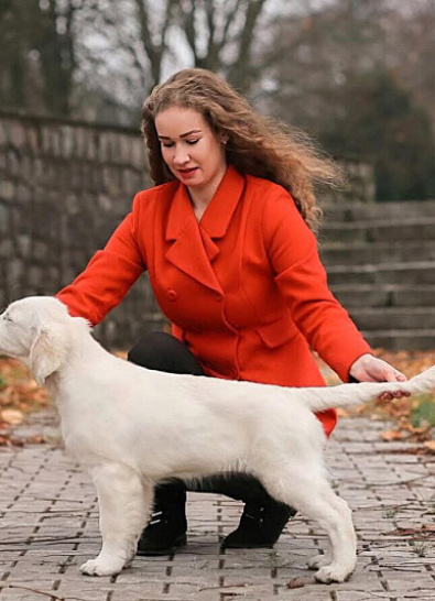 Национальная выставка собак всех пород 