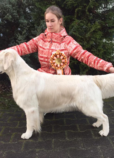 Национальная выставка собак всех пород 