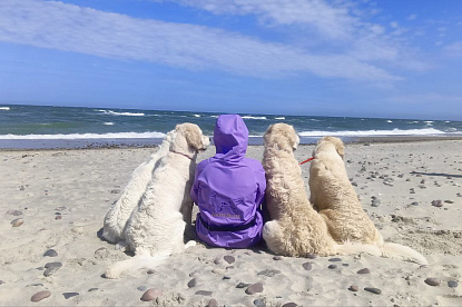 Море и голдены_0