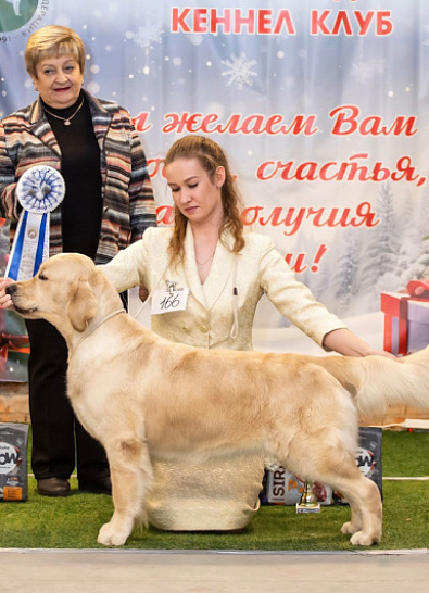 ‘Калининский Кеннел Клуб’ г. Калининград