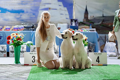 Рейтинговые выставки Калининград_4