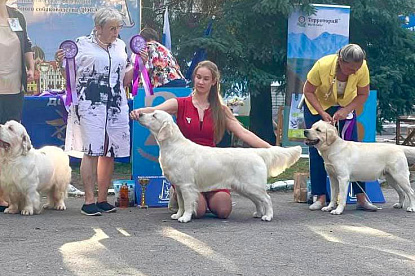 Национальная выставка собак всех пород_0
