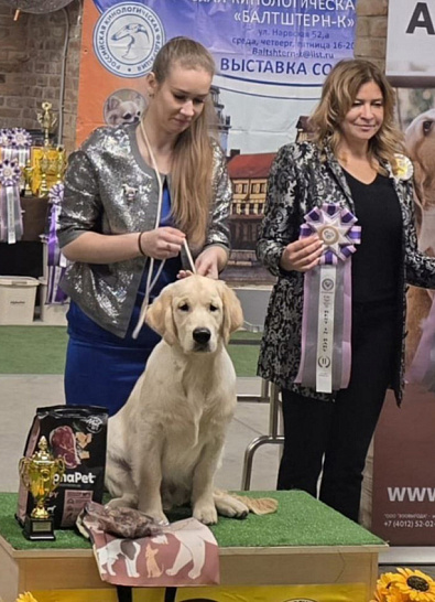 ‘Балтштерн-К’ г. Калининград