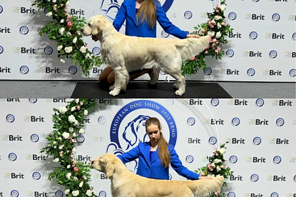 National Dog Show Brno pre EDS_0