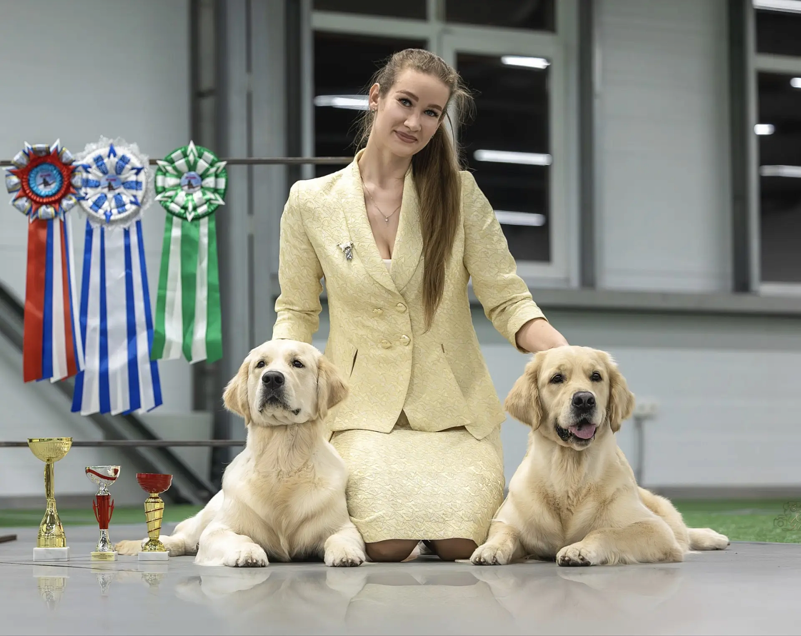 Национальная выставка собак всех пород 