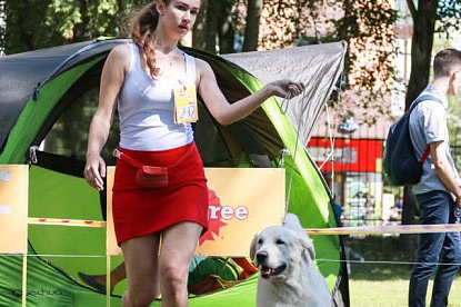 Национальная выставка собак всех пород _2