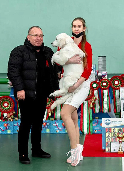 Национальная выставка собак всех пород 