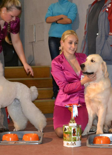 Национальная выставка собак всех пород  