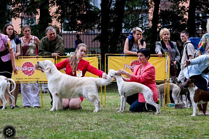 Национальная выставка собак всех пород _4