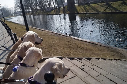 Путешествия_7