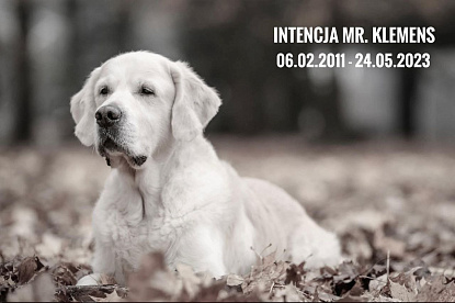 Кевин 06.02.2011 - 24.05.2023_1