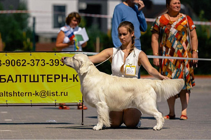 Рейтинговая выставка г. Калининград_2