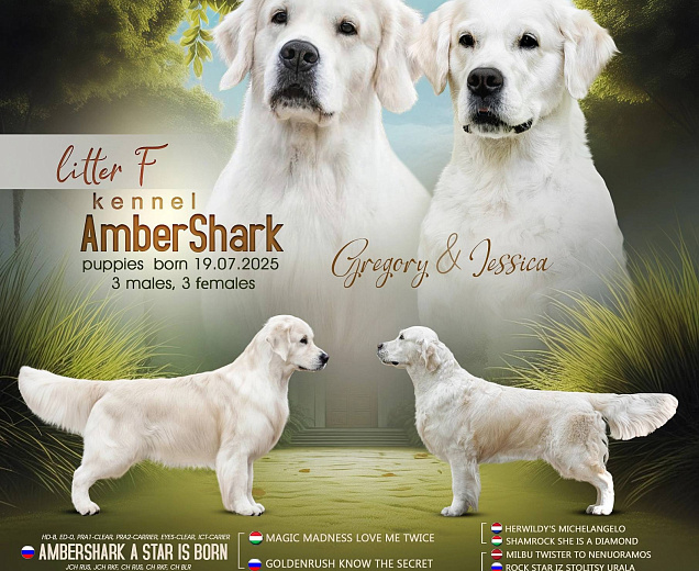 Фото Помет "F" морда