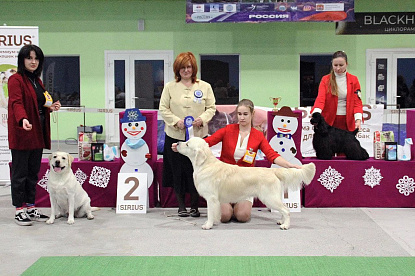 Национальная выставка собак всех пород _2