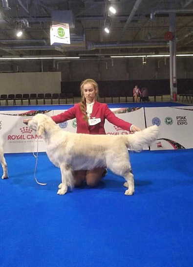 Чемпионат Европы 2018 Варшава European Dog Show Warszawa 