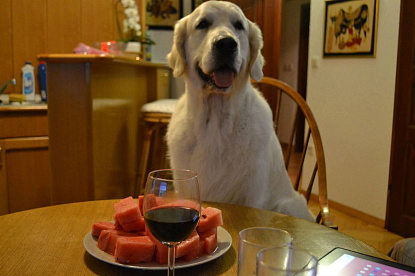 Наша жизнь_1