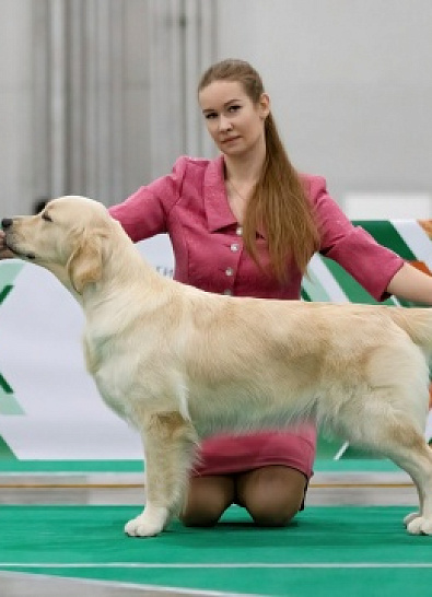 Евразия 2024, г. Москва