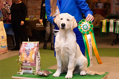 Национальная выставка собак всех пород_2