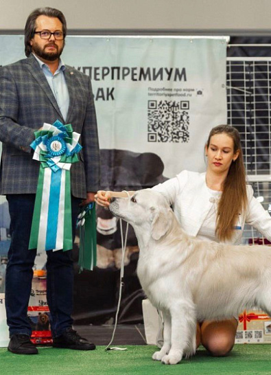 Национальная выставка собак всех пород 5