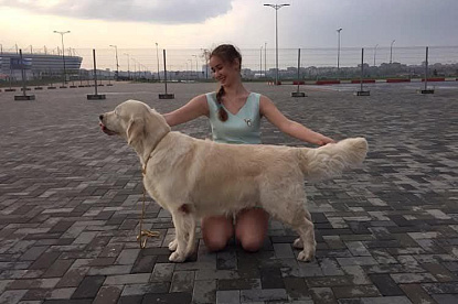 Национальная выставка собак всех пород _2