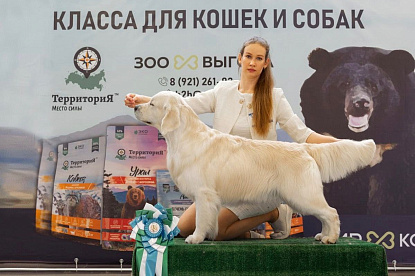 Национальная выставка собак всех пород _1