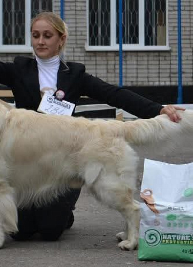 Национальная выставка собак всех пород 