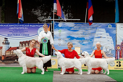 Рейтинговые выставки Калининград_5