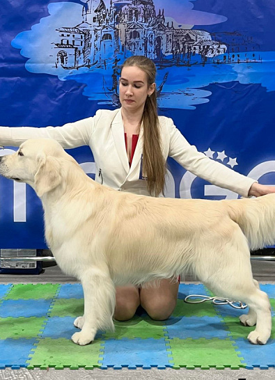 Национальная выставка собак всех пород 