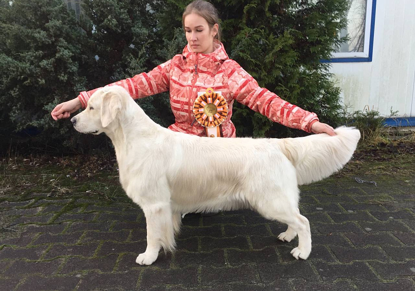 Фото Дейзи стойка