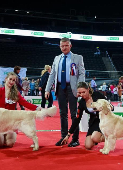 Международная выставка собак всех пород Каунас