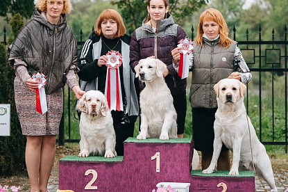 Национальная выставка собак всех пород + CAC VIII gr. + Speciality _0