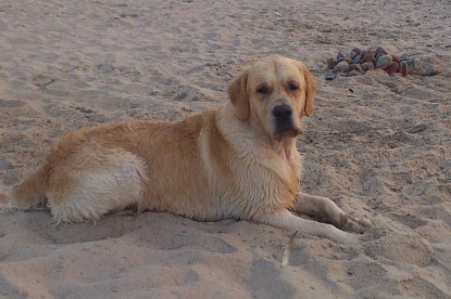 Кевин 06.02.2011 - 24.05.2023_6