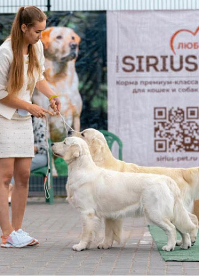 Рейтинговая выставка г. Калининград