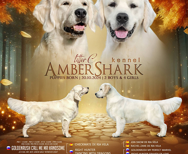 Фото Помет "C" морда