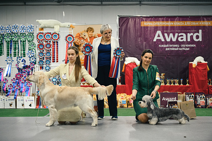 Национальная выставка собак всех пород _0