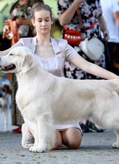 ‘Клуб Звезда-Запада’ г. Калининград
